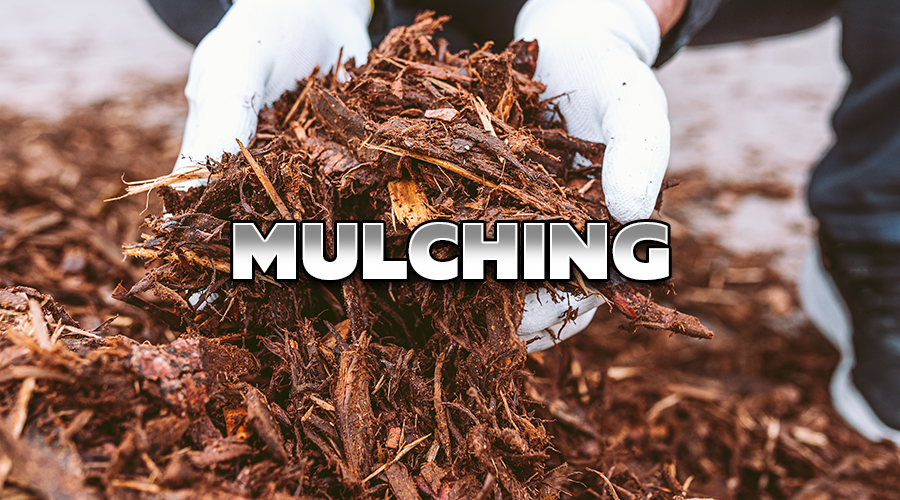 Mulching