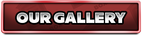 Our Gallery