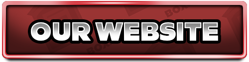 Our Website